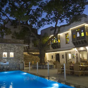 Bed & Breakfast The Neem Tree, Udaipur